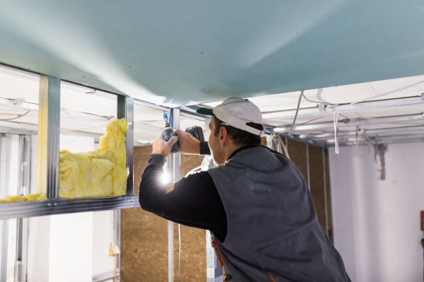 Best Specialized Insulation Services in Lakeport, CA