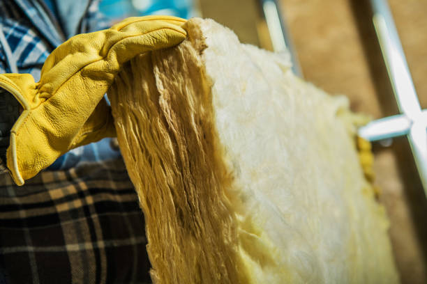 Best Eco-Friendly Insulation in Lakeport, CA