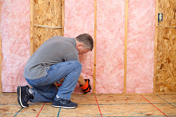 Best Insulation Maintenance and Repair in Lakeport, CA