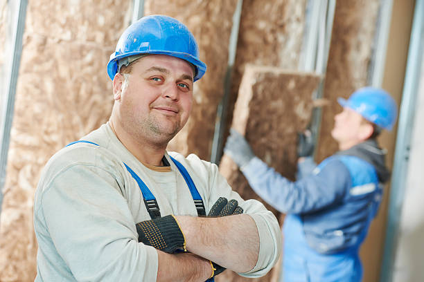 Best Cellulose Insulation in Lakeport, CA