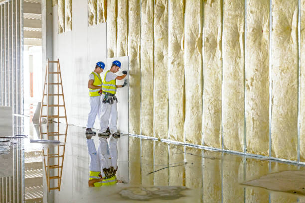 Best Residential Insulation in Lakeport, CA